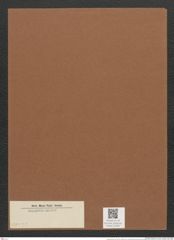 Diatomeae indet. (de-Toni-Nr.: Species 2102 ?) Zeichnungen Sammlung Grunow Mappe 02382 (Herbarium_W_Grunow_drawings_Folder_02382)